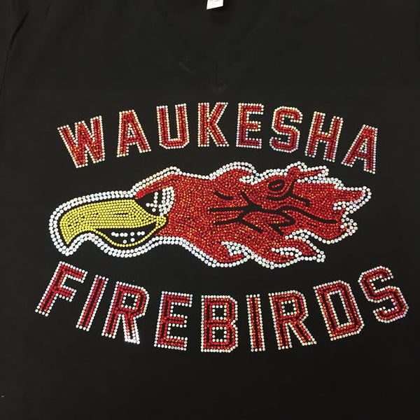 Waukesha Firebirds  "Bird" Gildan Hoodie