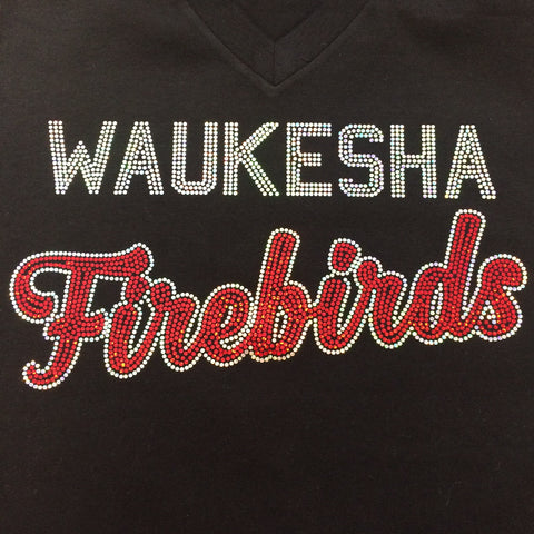 Waukesha Firebirds "Words" Gildan Hoodie